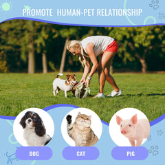 Larimuer Snuffle Ball two-size option fits puppies to large dogs