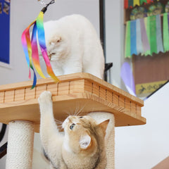 LASOCUHOO colorful-worm-teasers engage kittens with bright colors and bells.