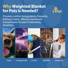 LaSyL blanket calms dogs during thunderstorms for peaceful sleep.