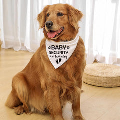 Lcekterur baby-security-in-training-bandana worn by a dog for pregnancy reveal photos