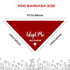 Lcoanriut dog bandana for birthdays enhances festive walks and photos.