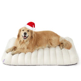 LE SURE cute orthopedic dog bed close-up showing egg-crate foam for joint support.