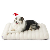 LE SURE orthopedic dog bed front view in cream for relaxed lounging.