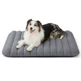 LE SURE Cute Orthopedic Dog Bed front view showcasing plush Sherpa comfort for relaxed naps.