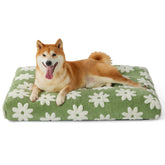 LE SURE dog bed front view in green plush cover for cozy lounging.