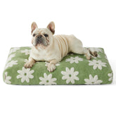 LE SURE medium dog bed with foam-core for plush, supportive rest.