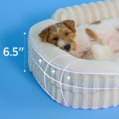 LE SURE dog bed medium wrapped in plush faux fur cushion for cozy lounging and warmth.