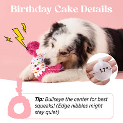 LE SURE 2 in 1 birthday cake toy for interactive and solo play