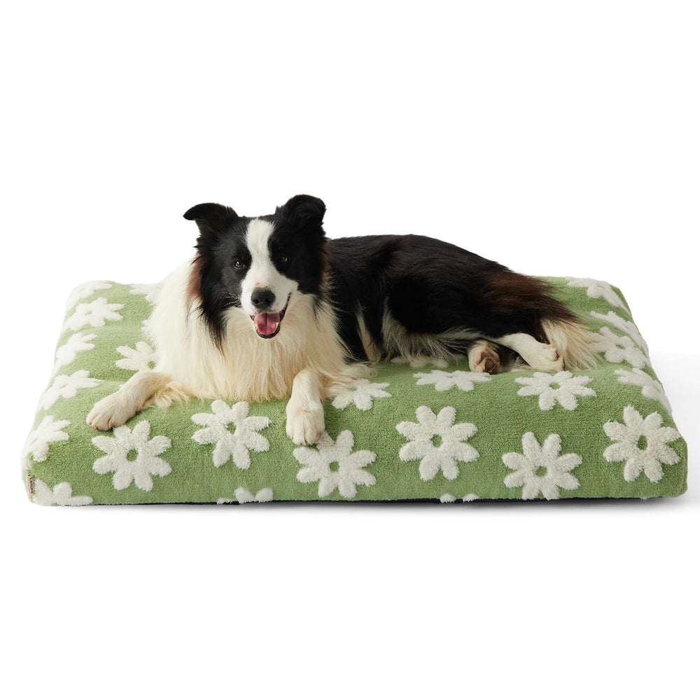 LE SURE large dog bed green cover close-up for cozy plush comfort.