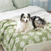LE SURE waterproof dog blanket on sofa keeps large dog warm and furniture protected