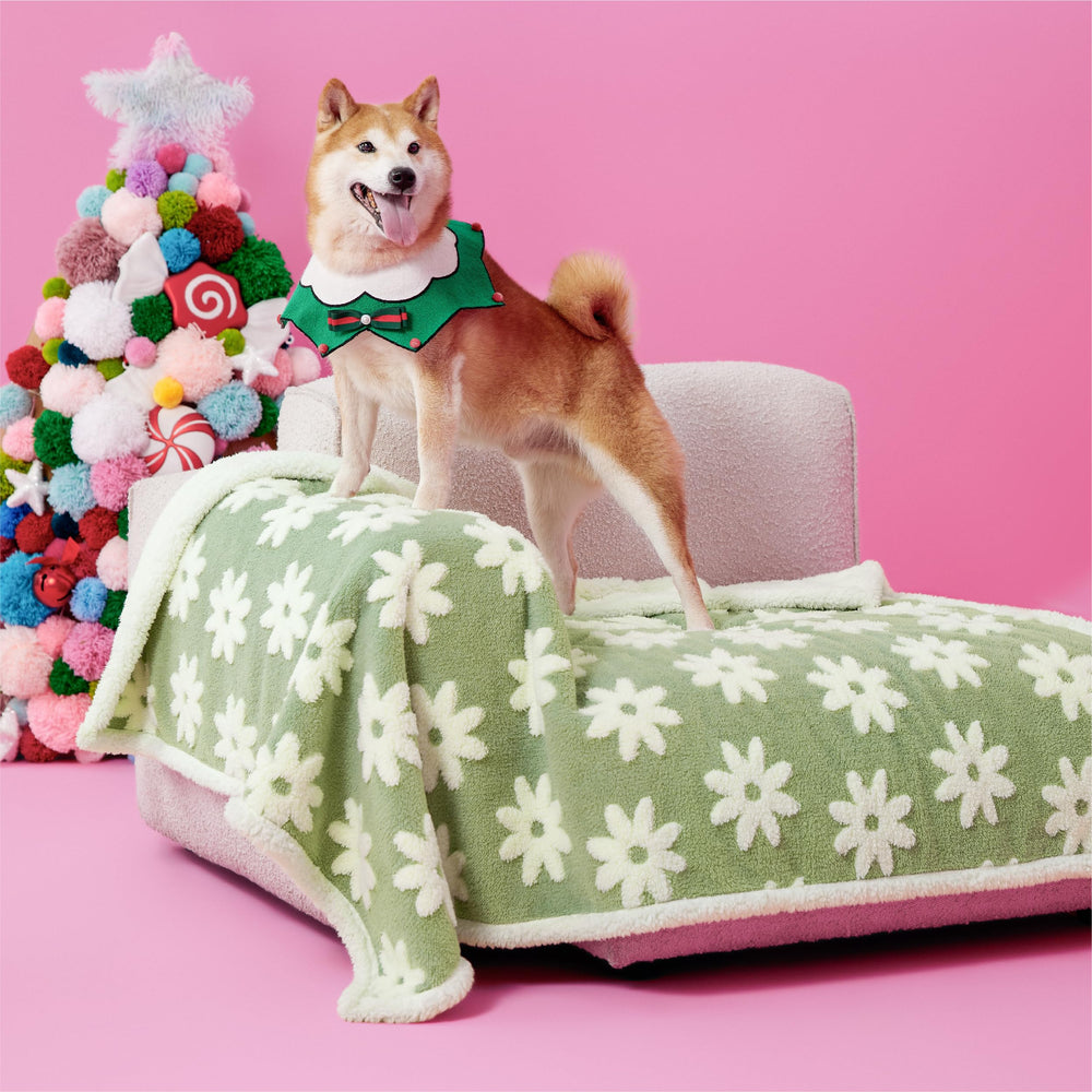 LE SURE waterproof dog blanket for large dogs green protects furniture indoors and outdoors