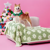 LE SURE waterproof dog blanket for large dogs green protects furniture indoors and outdoors