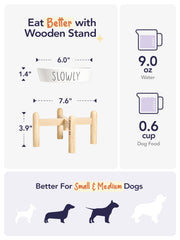 LE TAUCI PET small breed mealtime setup with elevated bowl