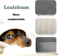 Lealchum car seat with adjustable shoulder strap secures to headrest for safer travel.