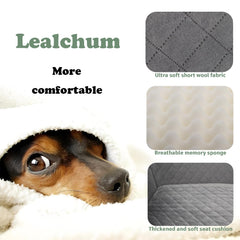 Lealchum safety belt channel bottom ensures secure restraint for safer travels