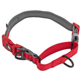 Leash Boss martingale collar dog for secure training and escape prevention.
