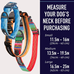 Leash Boss wave pattern collar with dual rings for tags and leash
