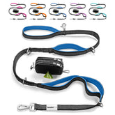 Leashrr 2.0 no-pull leash 6ft showing controlled walking with large dog