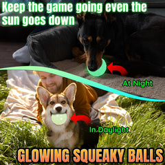 LECHONG glow-in-dark squeaky ball closeup shows engaging squeak for active play.
