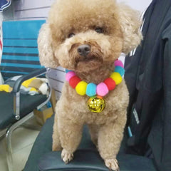 Leconpet pom pom collar bell detail highlighting decorative charm and pet-friendly accessory.