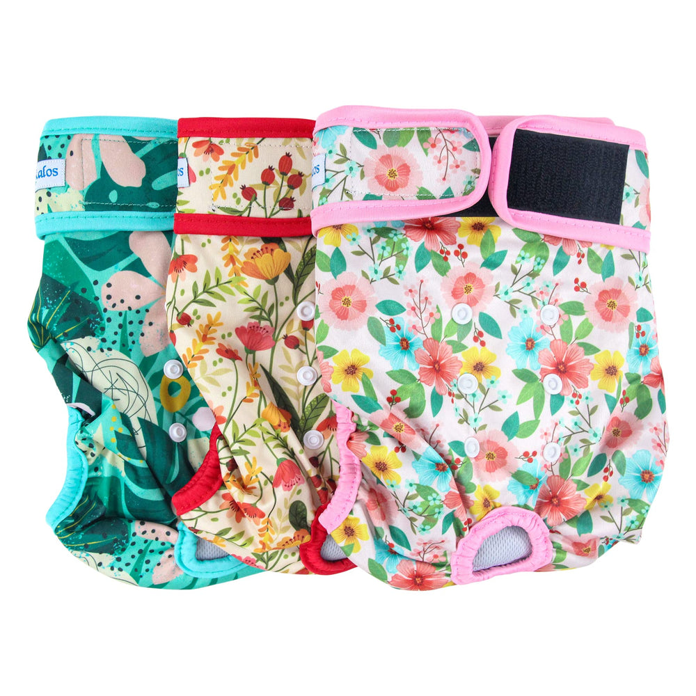 Leekalos reusable dog diapers female pack3 large flora outer view showing color options.