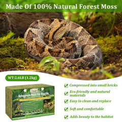 Legigo terrarium moss for humidity control keeps enclosure comfortable.