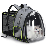 Lekereise Cat Backpack Carrier bubble window front view for sunlit travel and pet comfort.