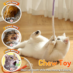 LEKEWPET all-ages toy designed for safe chewing and long-lasting fun
