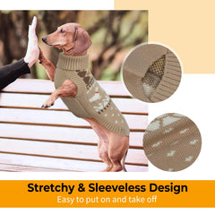 LeLePet dachshund sweater turtleneck warmth for chilly days outdoors.