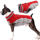 LeLePet dog coat front view shows warm waterproof fabric for outdoor walks.