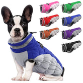 LeLePet dog coat front view showing waterproof exterior and plush fleece lining for warmth