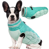 LeLePet dog coat mint green warm fleece lining for cozy outdoor walks in cold weather.