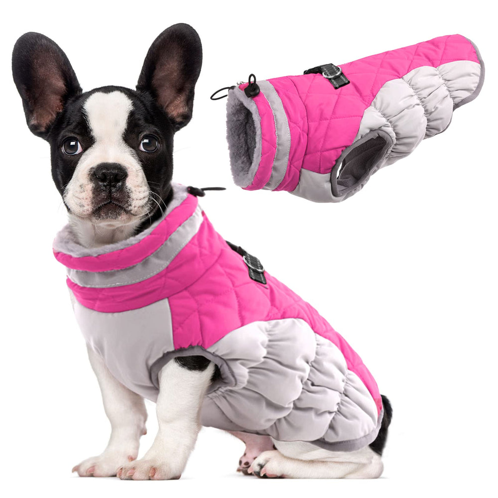 LelePet dog coat Rose Red front view highlights warm windproof comfort for outdoor walks.