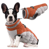 LeLePet dog coat warm fleece lining keeps dogs cozy on chilly walks