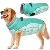 LeLePet dog coat warm harness mint-green provides secure warmth during outdoor walks