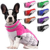 LeLePet dog coat warm and waterproof back view keeps small dogs comfortable outdoors.