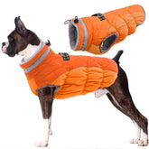 LeLePet dog coat warm and waterproof front view supports outdoor protection.