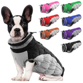 LeLePet dog coat warm waterproof harness black closeup for winter walks