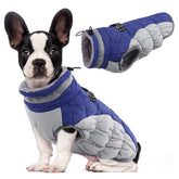 LelePet dog coat blue on dog for cozy outdoor walks