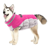 Lelepet dog coat front view shows warm protection for cold-weather walks.