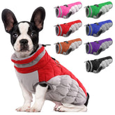 LeLePet dog coat warm winter vest on a small dog for outdoor warmth.