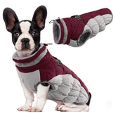 LeLePet dog coat warm-winter fabric keeps small dogs cozy on cold walks.