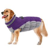 LeLePet waterproof dog coat with built-in harness for secure daily walks.
