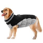 LeLePet dog coat waterproof exterior for rainproof warmth during walks.