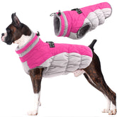 LeLePet coat waterproof-winter-jacket keeps dogs warm outdoors.