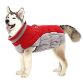 LeLePet dog coat with waterproof exterior keeps a large dog dry during rainy walks.