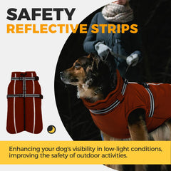 LelePet dog winter coat orange waterproof outer layer keeps your pup dry in rain