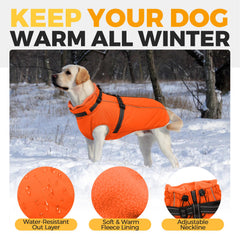 LelePet dog winter coat orange windproof outer shell protects against chilly gusts