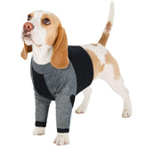 LeLePet recovery suit front view protects wounds while your dog moves freely.