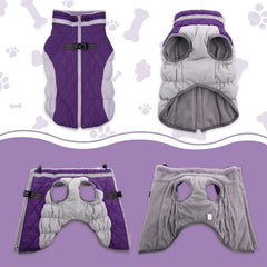LeLePet reflective dog coat with built-in harness for safe dark-evening strolls